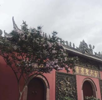 金海岸娱乐：助力公益活动建设，实现经济效益与社会效益的双赢！